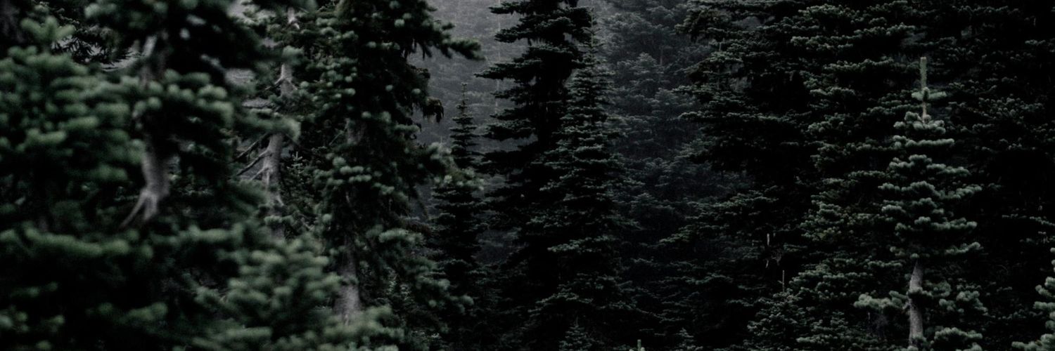 MetaXis_AleXa's profile banner image