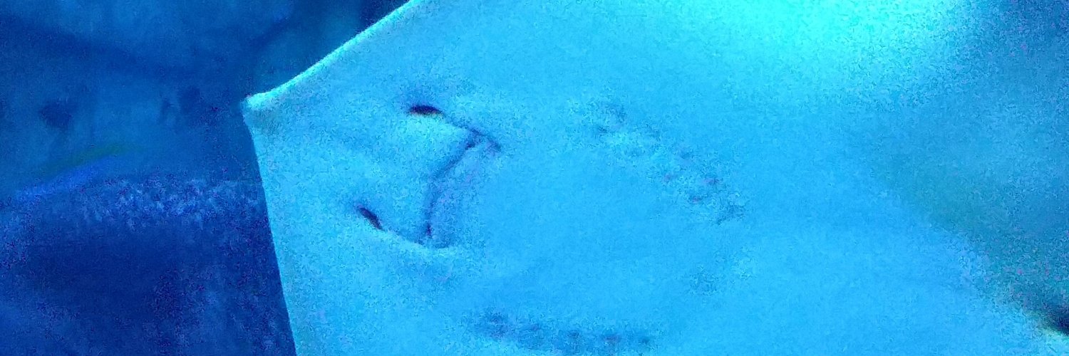 Admi_r4's profile banner image