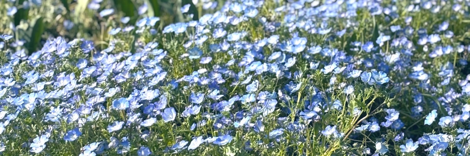zzz81ee's profile banner image
