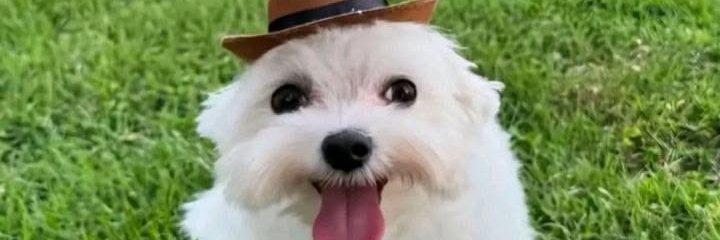 TheGoonKeeper's profile banner image