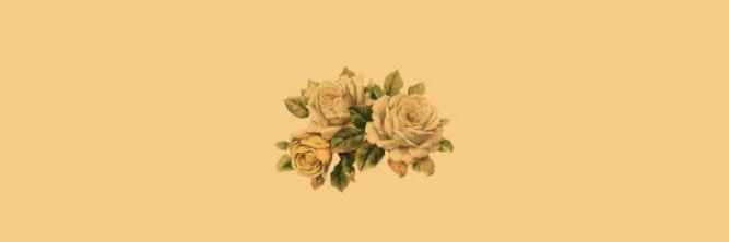 georgiafarq's profile banner image
