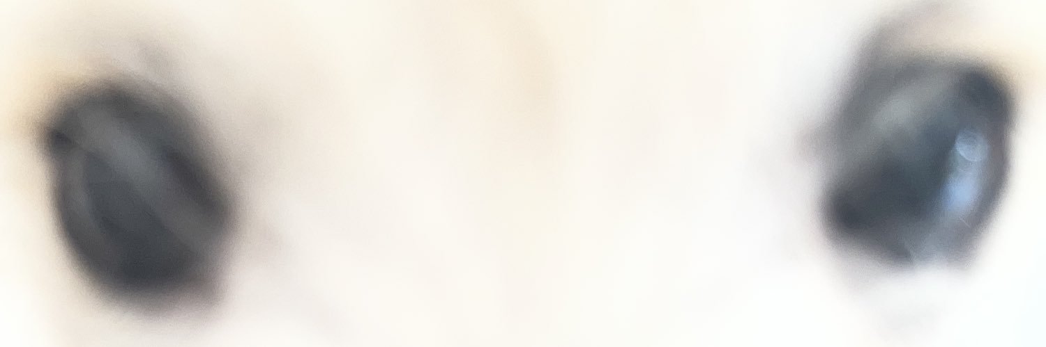 우유! banner