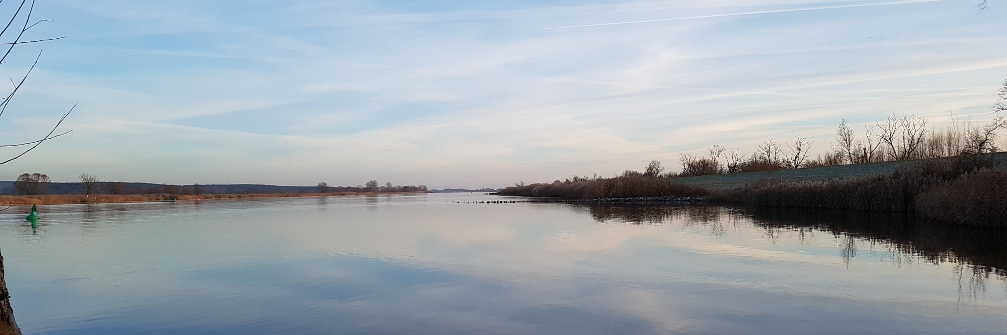 Andreas Kerzmann banner