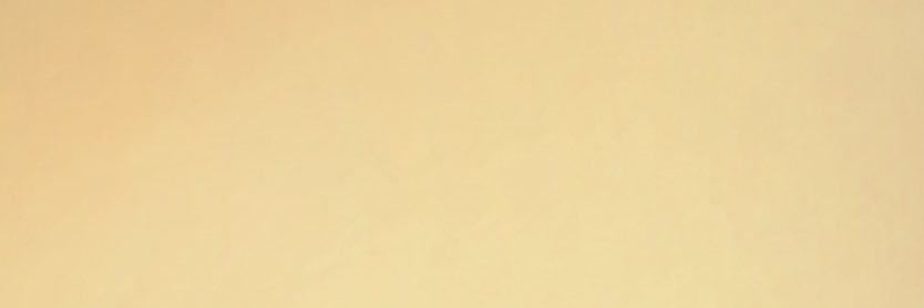 foxfirejosten's profile banner image