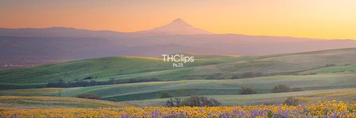 TrinHClips's profile banner image