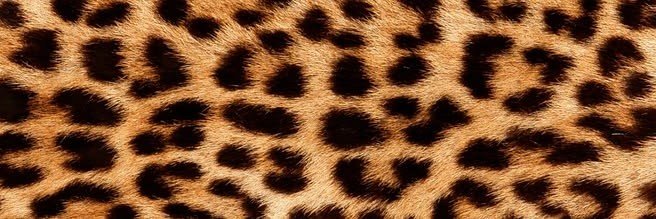 am_na232's profile banner image