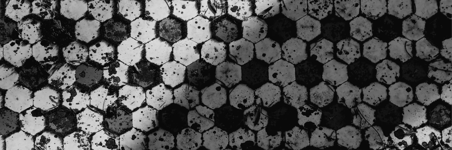 danikjohnson's profile banner image