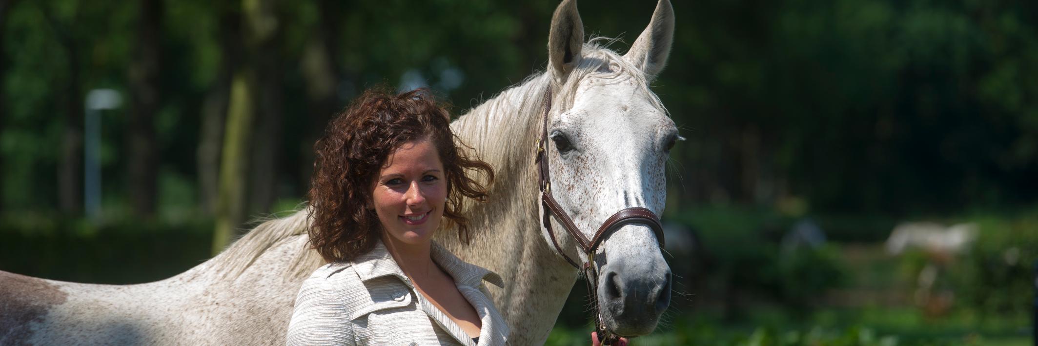 HippicVenture's profile banner image