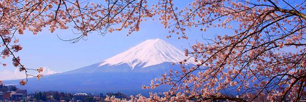 narisa_tj's profile banner image