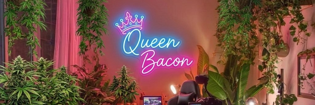 itsqueenbacon's profile banner image