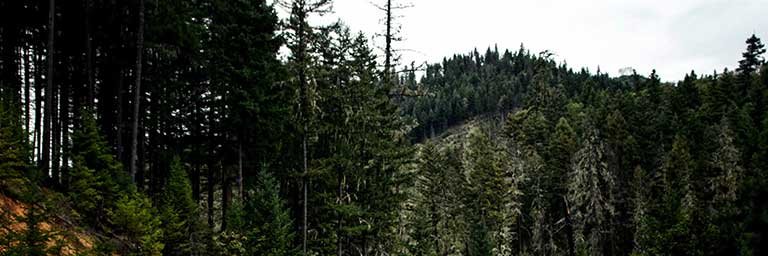 Funda Fundaa 💛 banner