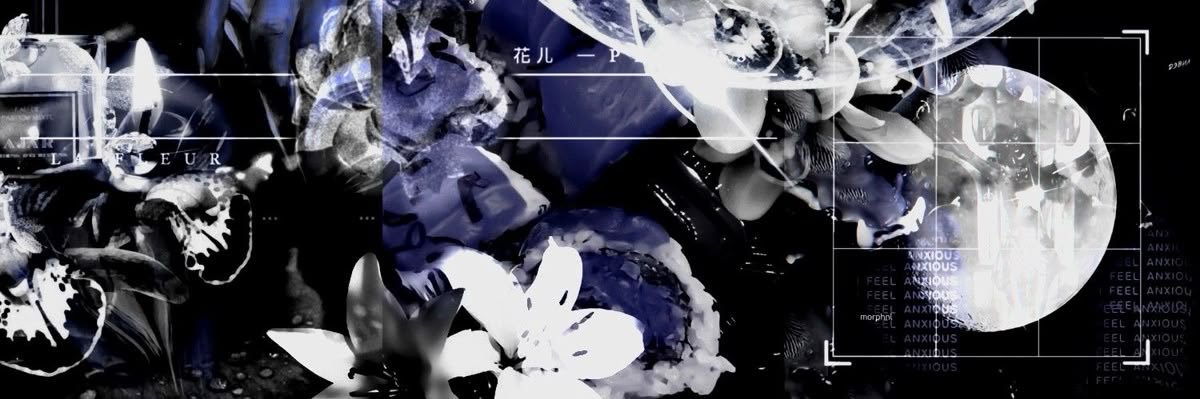 fushikiigami's profile banner image
