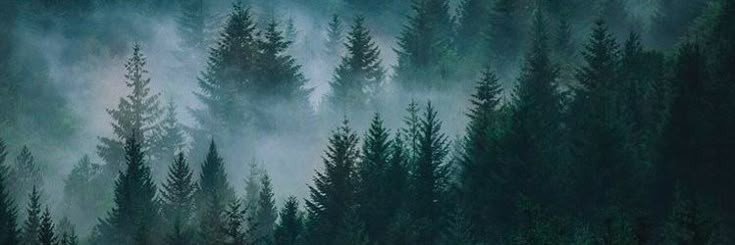 ִֶָ banner
