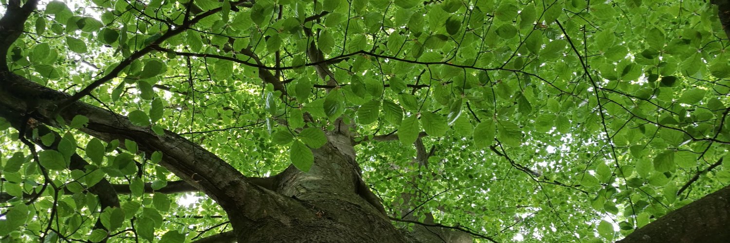 janmartensson's profile banner image