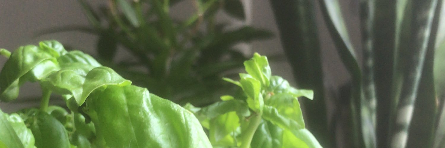 chalob's profile banner image