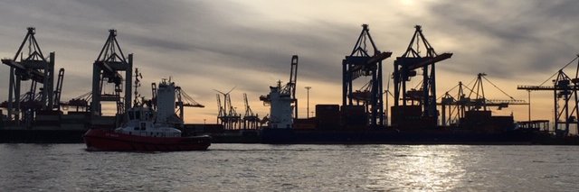 Willnauer's profile banner image