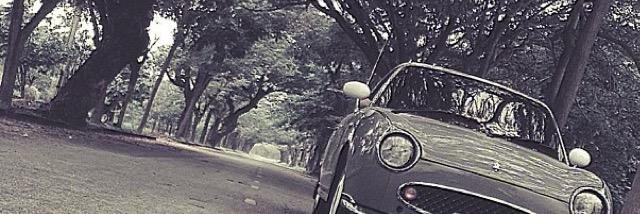DAY_nRolla's profile banner image