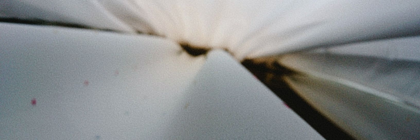 umecobuchaa's profile banner image