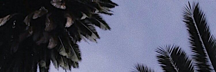putrilestariii's profile banner image