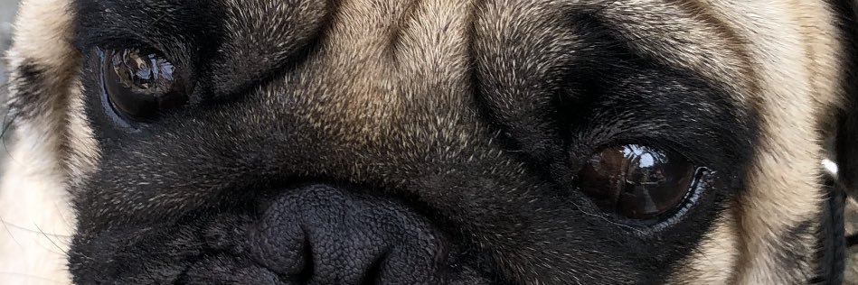 cassuuhndra's profile banner image