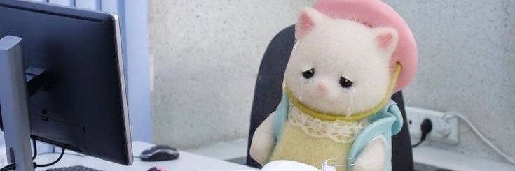 vu0v0's profile banner image