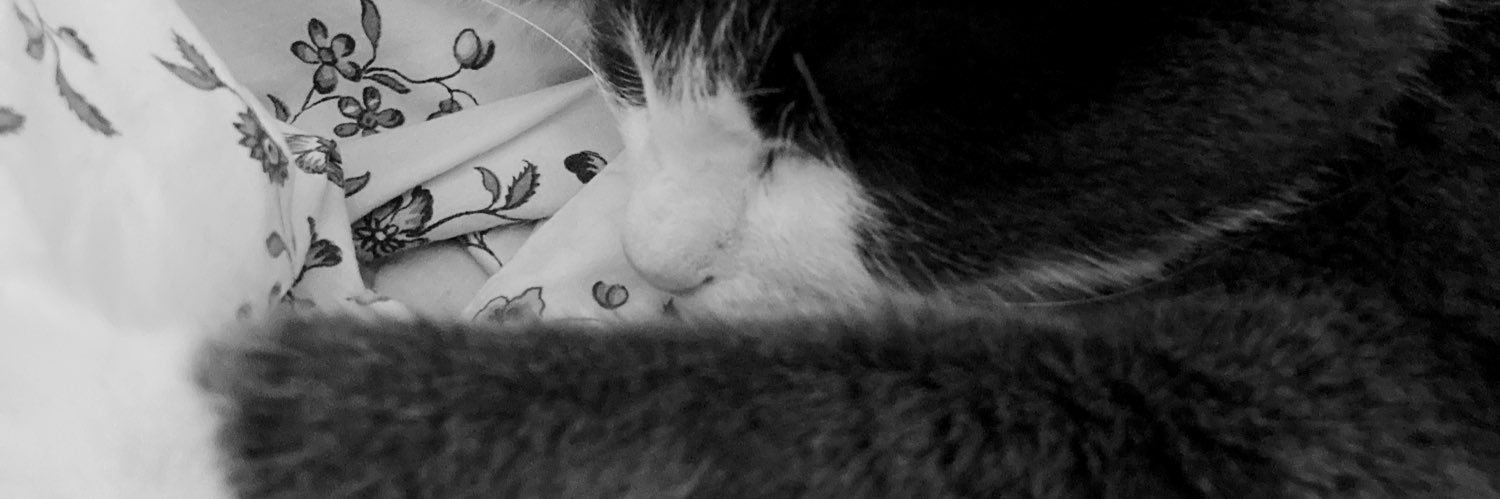 SlutyEm's profile banner image