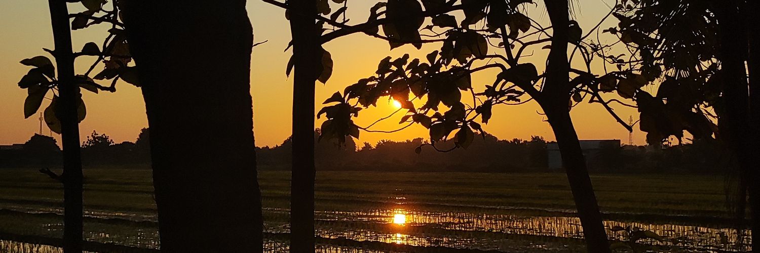 MySmile98's profile banner image