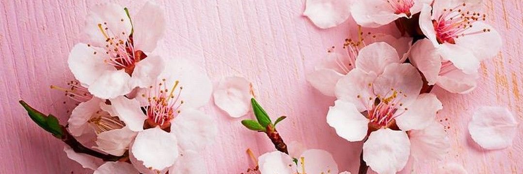 Wavechun's profile banner image