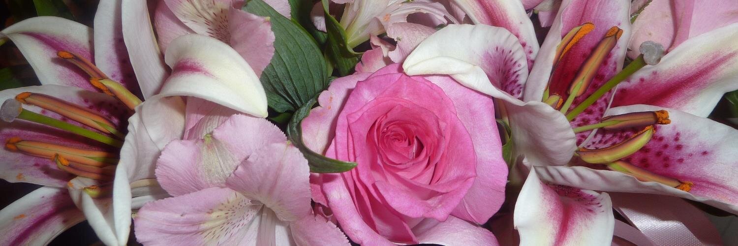 Lynne A Shapiro banner