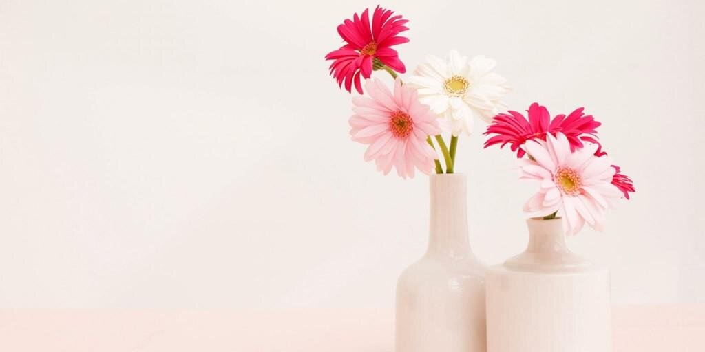 idafisa's profile banner image