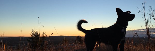 markkamachi Profile Banner