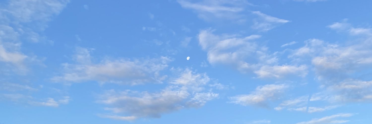 Lucy Devereaux banner