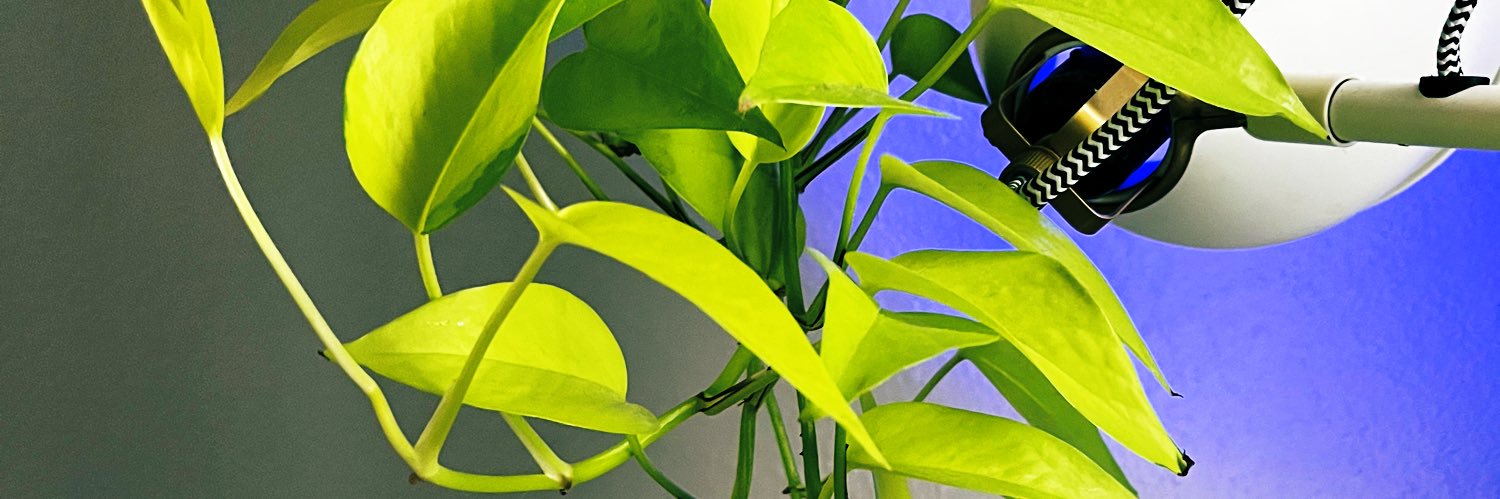avrobro's profile banner image