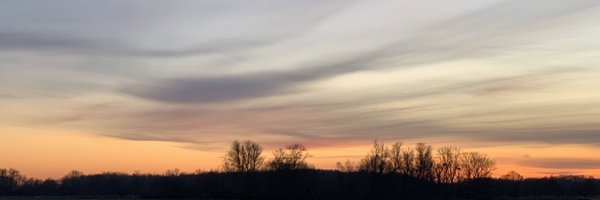 AlexandraGross Profile Banner