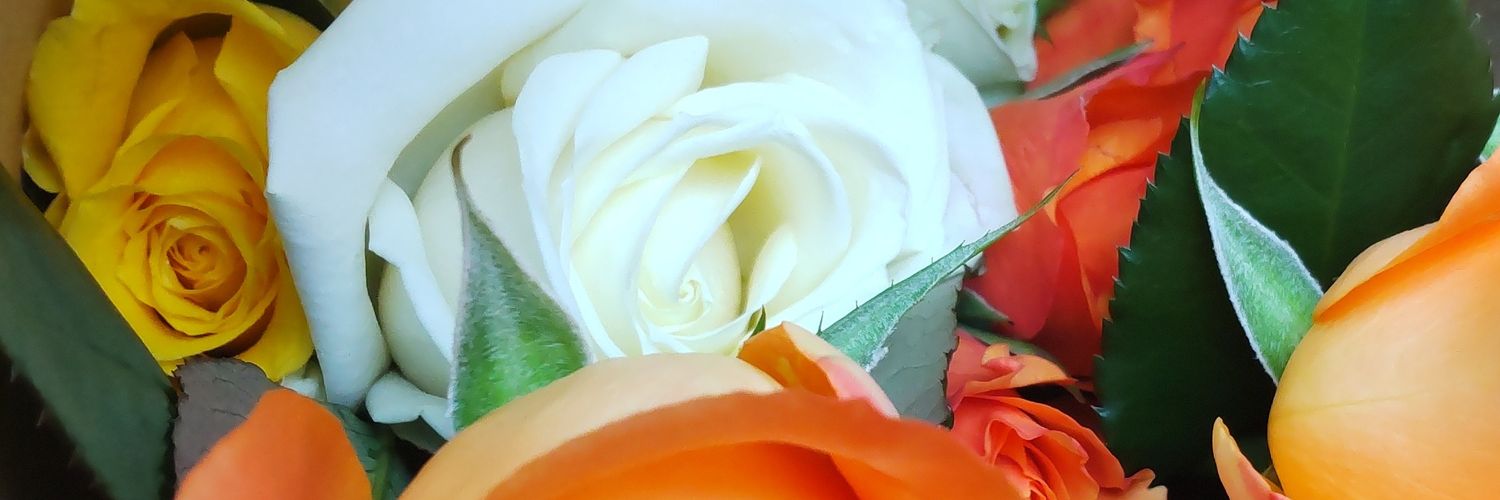 maruu416's profile banner image