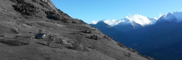 thelor Profile Banner