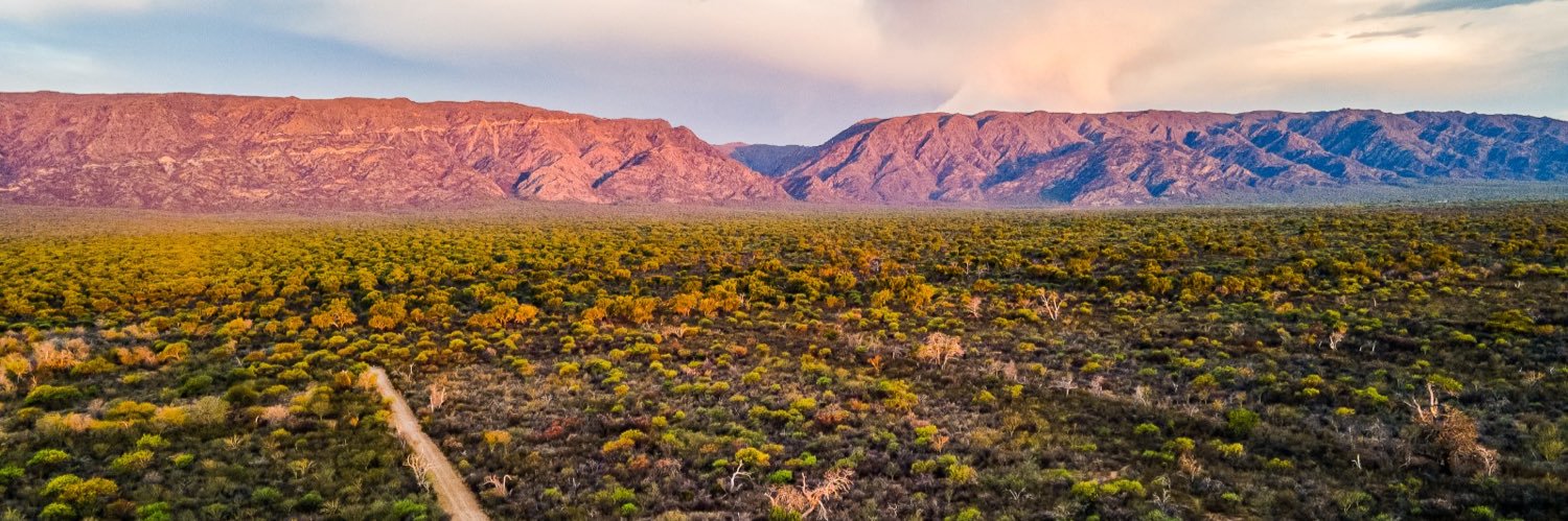 Juan Carlos Scotto banner