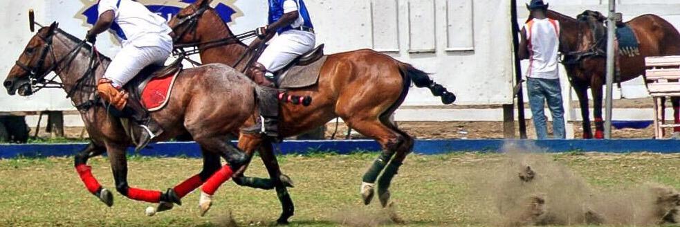 IMDamcida's profile banner image