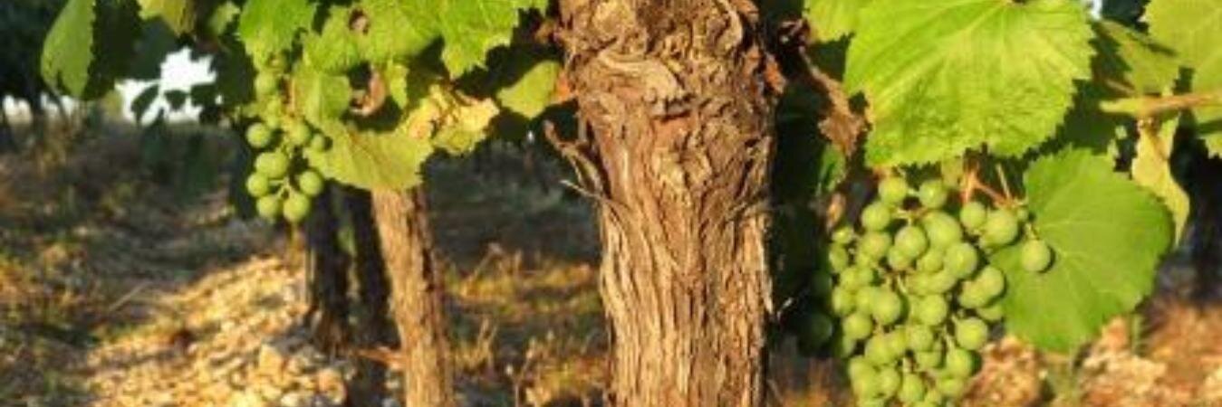 Quercy46Lot's profile banner image