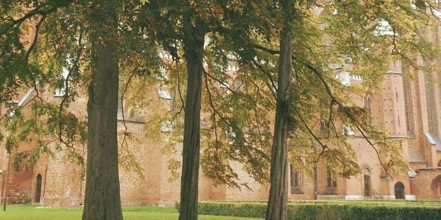 tontaube's profile banner image