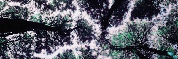 emkariem's profile banner image