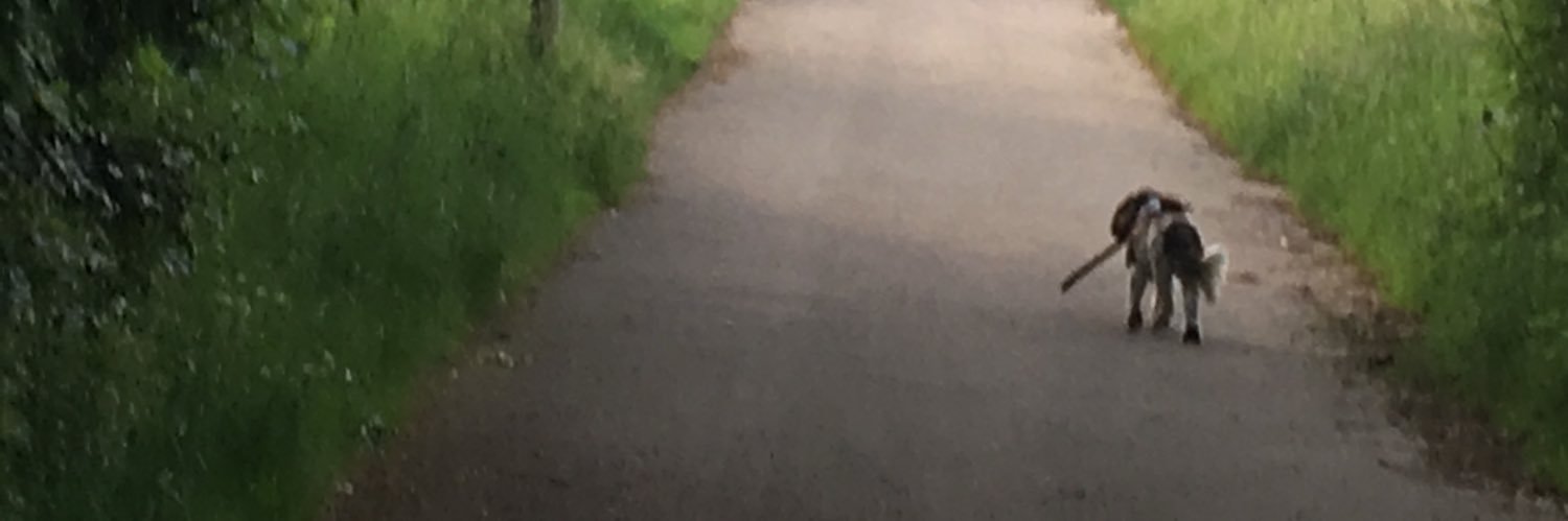 wendle78's profile banner image