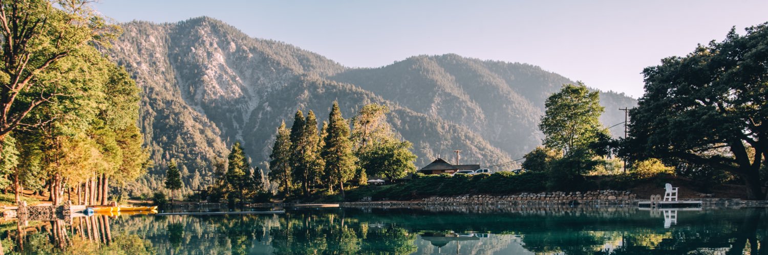 foresthome's profile banner image