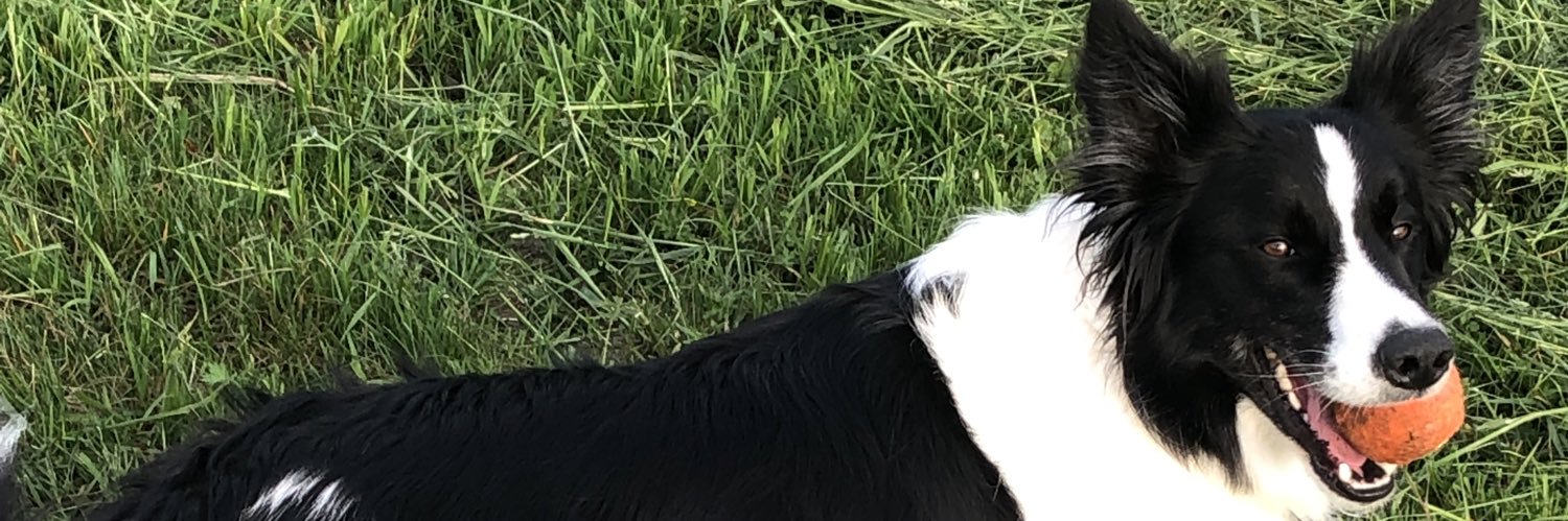 Janice242's profile banner image