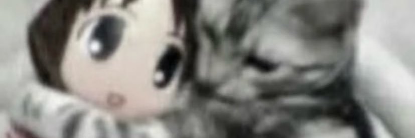 KaimUvU's profile banner image