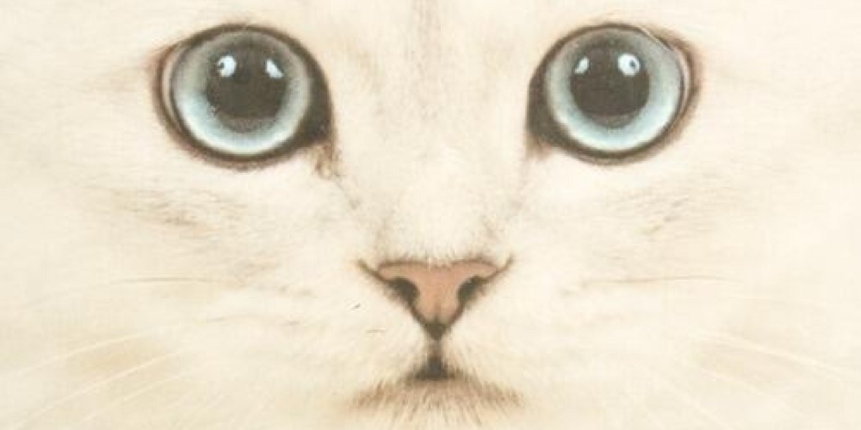 AshAbdRahim's profile banner image