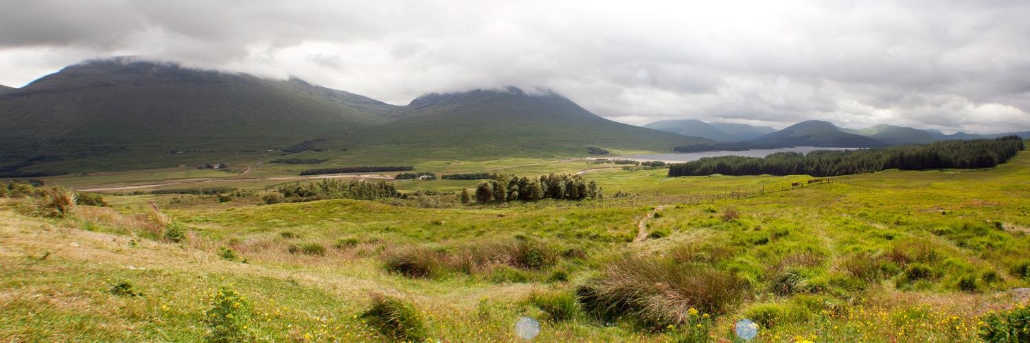 Ginestra Ferraro banner