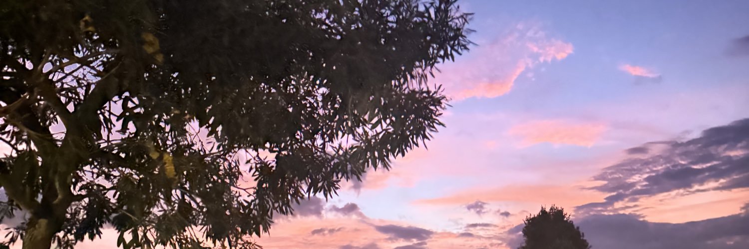 thevaltd's profile banner image