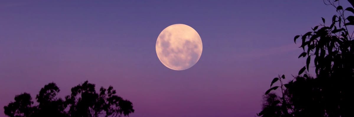 TheMaroonPi's profile banner image