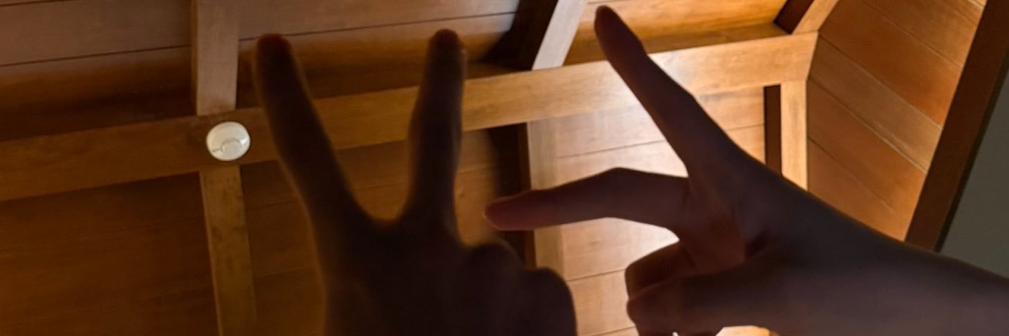 punleepsj's profile banner image
